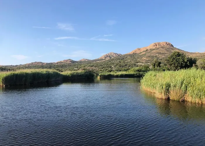 Holiday home Charmante Petite Maison Dans Avec Piscine Chauffee A 600 M De La Belgodere (Corsica)