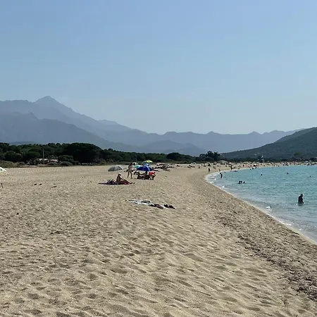 Charmante Petite Maison Dans Avec Piscine Chauffee A 600 M De La Holiday home Belgodere (Corsica)
